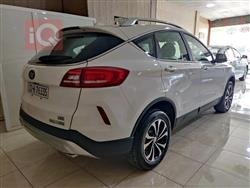 فاو بيستورن X80